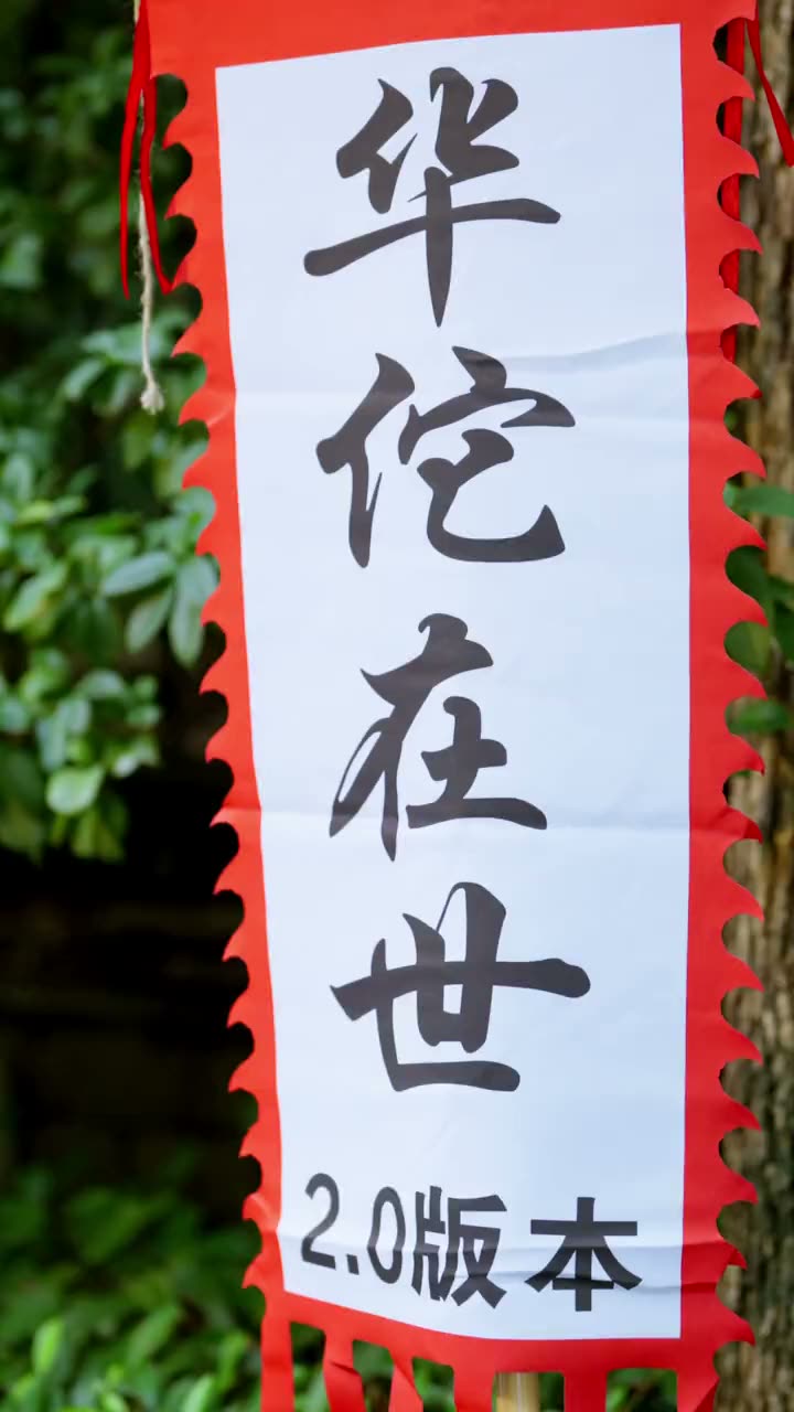 天降儿子是神医