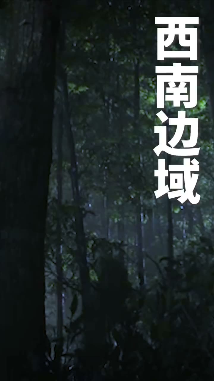 我以真龙降世