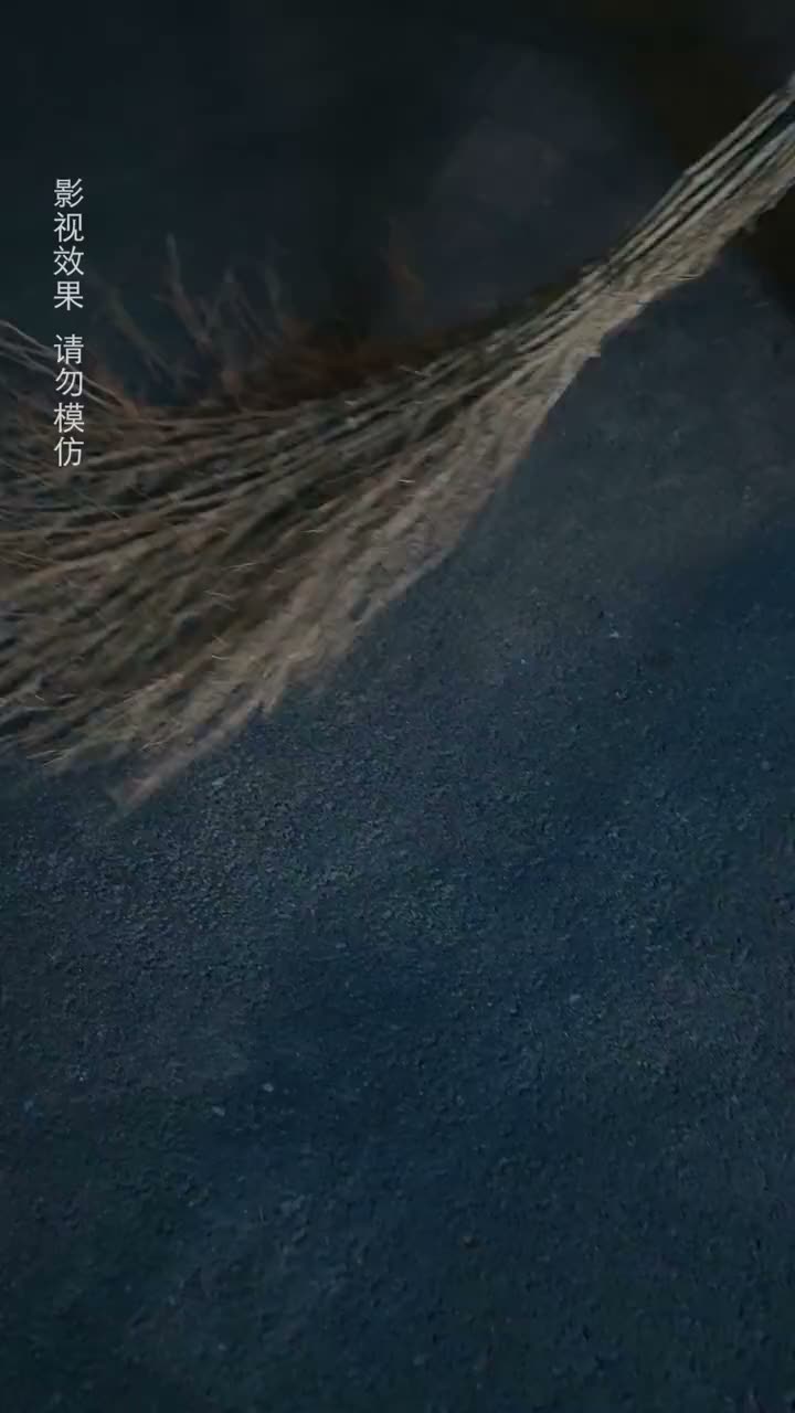 梨花传