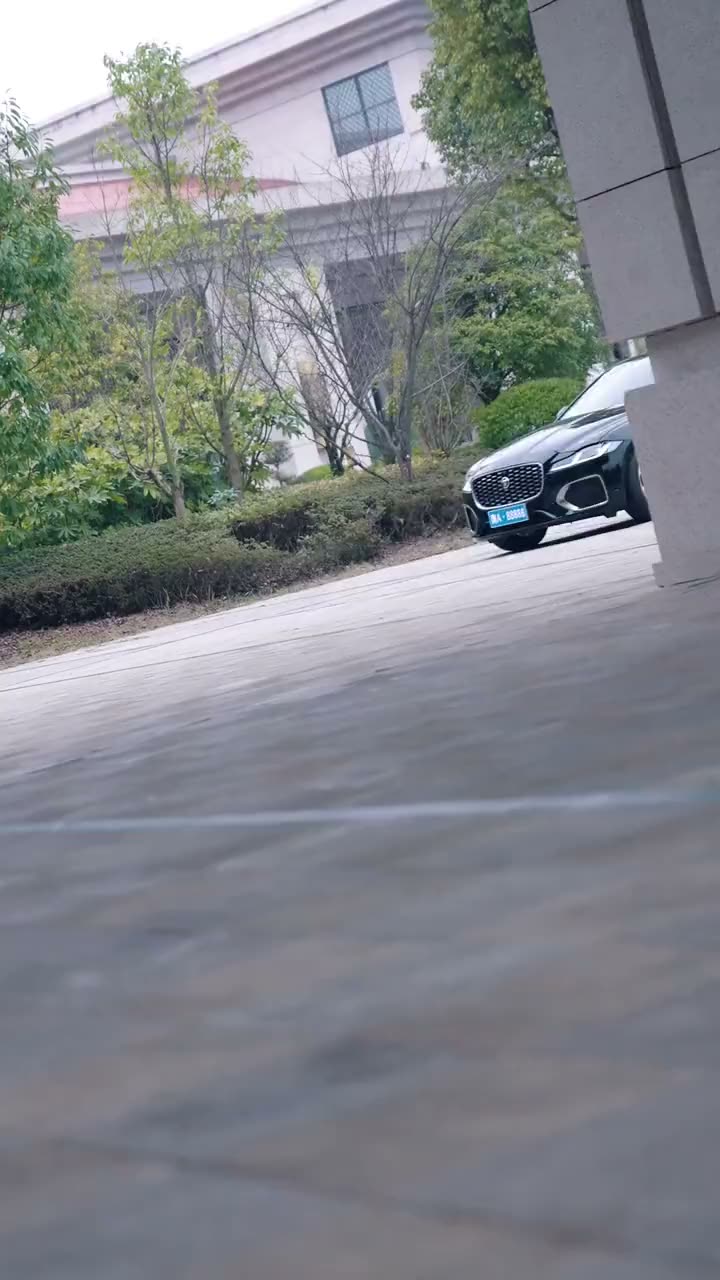 千金归来之慧眼识珠