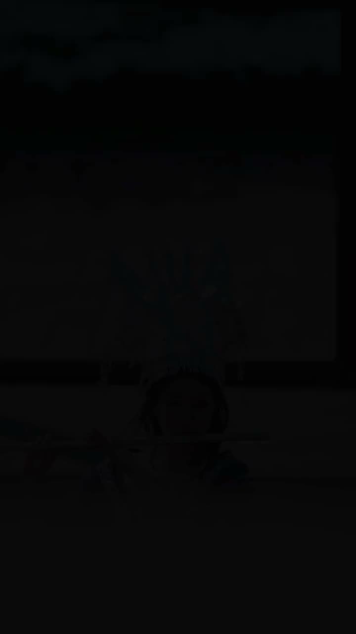镇国龙主