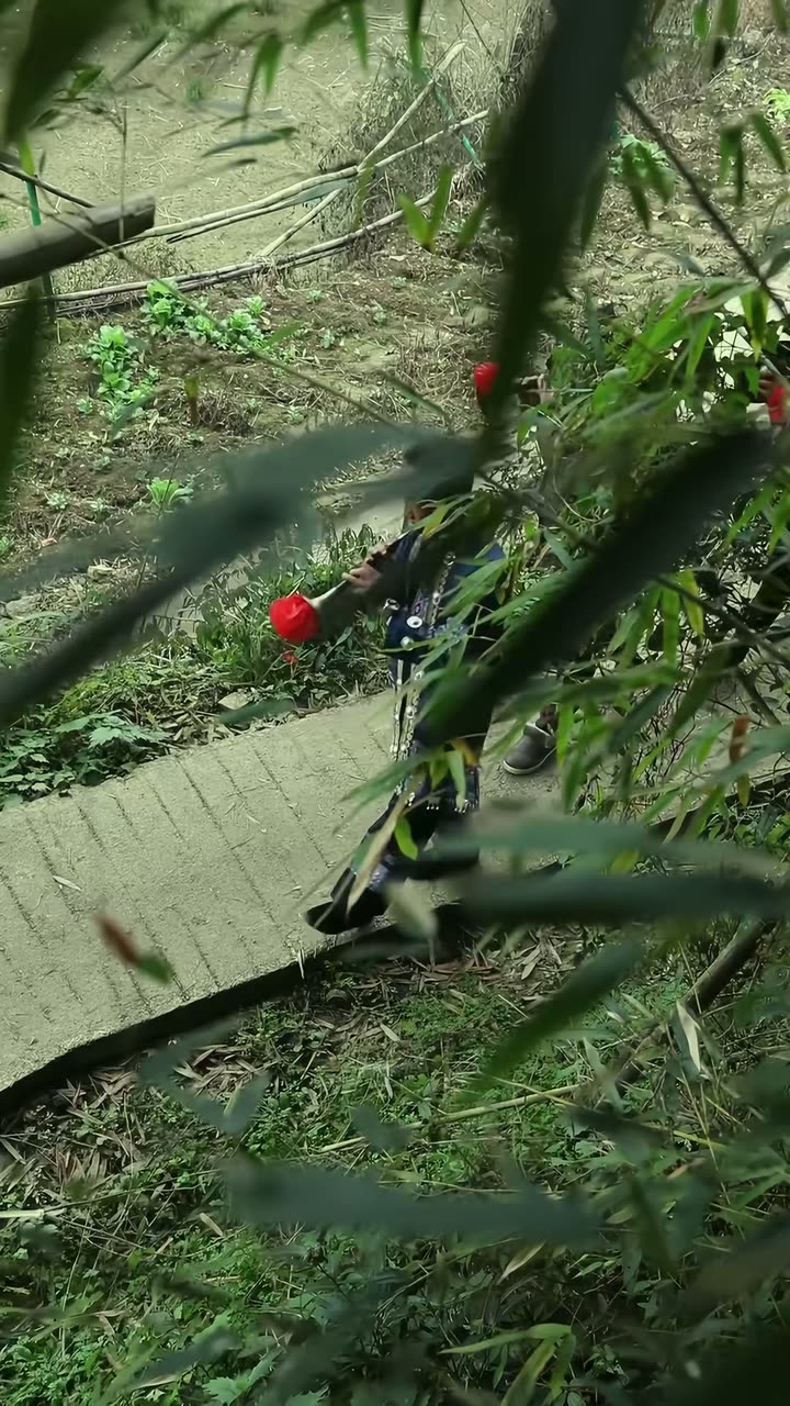 她在山水逢缘