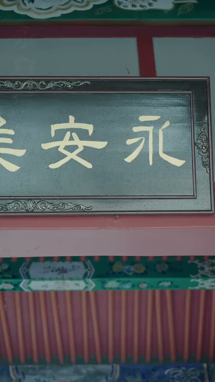 替身为凰