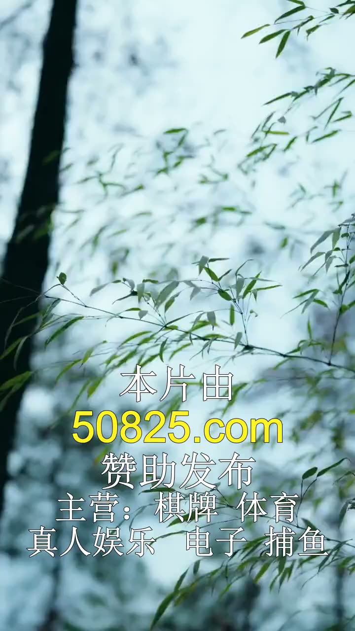 迷雾夜枭,女侠女捕该爱谁