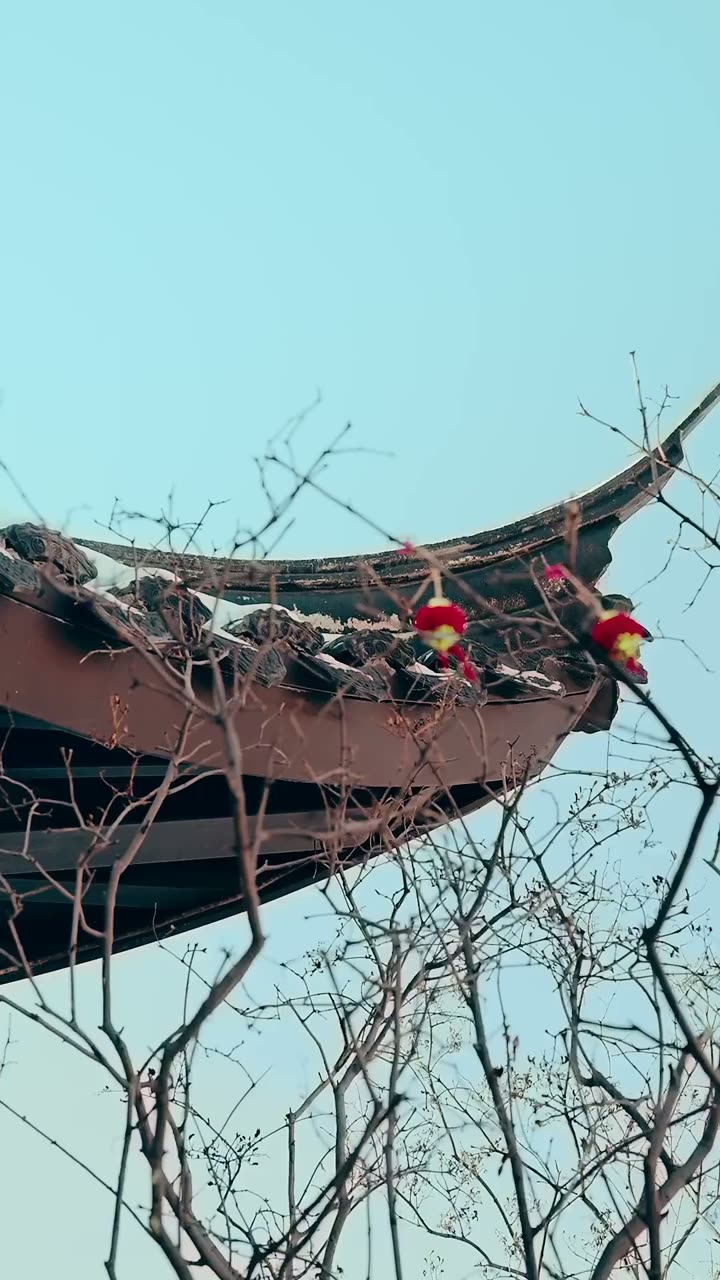 返老还童