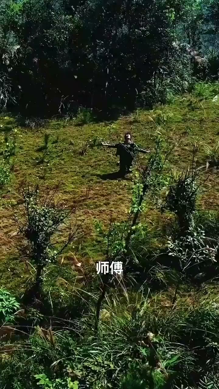 逆世神医龙翔九天